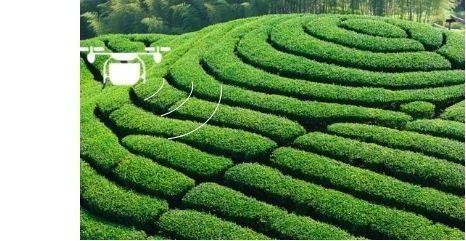 Pulverizador Drone Farm preciso Resistente à água à poeira Alta estabilidade