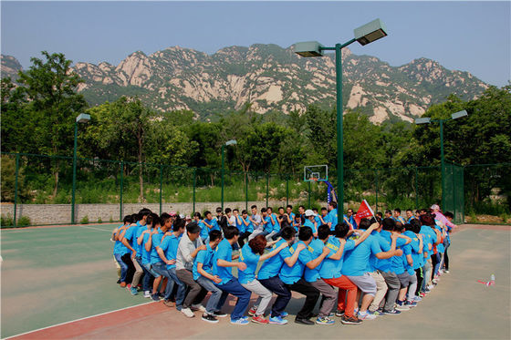 Drone elétrico para pulverização de culturas Fácil instalação Drone para pulverização de ervas daninhas