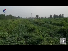Drones de agricultura híbrida